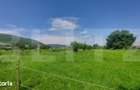 Casa + teren intravil, 3.6 ha I Zagon I Potential turistic si investit - 3