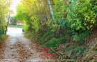 Teren intravilan in Breaza--1082 mp--39.000e