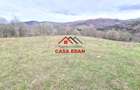 Teren extravilan Valea Doftanei 20.500 mp 6e mp - 3