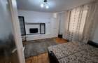 Apartament cu o camera in cartierul Intre Lacuri - 5