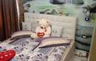Apartament cu 2 camere decomandat în Central - 5