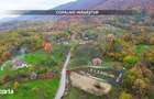 Teren intravilan de vanzare Copalnic Mana?tur 3.000 mp - 2