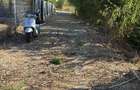Teren plus casuta lemn langa lac Ganeasa 1000mp - 7
