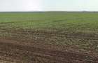 Teren 13700 mp Extravilan Livada de Bihor