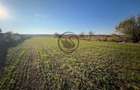 Teren intravilan de vanzare | 12.650 mp | Ghirdoveni | Comision 0%