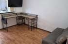 Inchiriez garsoniera Iulius Mall pet-friendly - 8