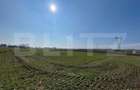 Teren extravilan, 7.300 mp, front 51 ml - Falticeni - 1