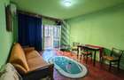Apartament cu 1 camera, de vanzare, etaj 2, zona Iulius Mall, Timisoar - 7