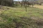 Teren de vanzare Sat Corusu, comuna Baciu 3484mp - 15