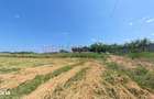 Racari - Teren - 13659 mp - intravilan - constructii - 3