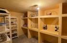 Casa S+P+E+M, 230 mp teren, Puskin - 7