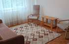 Dau in chirie apartament cu 2 camere, recent renovat, in zona strazii Albac - 8