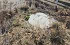 Cabana Maguri Racatau, 38000 eur - 10
