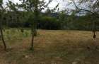 Teren de 20000 mp, în Ciucea - 1