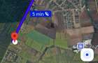 Vand teren pentru investitii spatiu comercial//Giarmata Vii langa Timisoara//Padurea Verde//600mp!/ Sau schimb cu auto + diferenta! - 8
