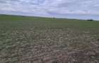 Vanzare teren intravilan 13.852mp, zona depozite Domnesti - 2