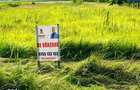 Teren intravilan in suprafata de 7.580 mp | DN65 Albota | Langa OMV - 3