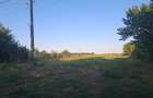 Teren intravilan 1000mp RADU NEGRU (Gambeta) jud. Calarasi - 5