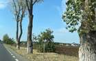 Vanzare teren Buftea | Strada Milano | Intravilan - 3