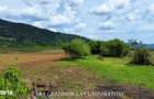 CALIMANESTI - JIBLEA NOUA, CONSTRUCTIE 493 MP, TEREN 4324 MP - 2