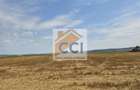Teren intravilan 50.000 mp, Bacau, Soseaua Hol - 8