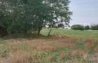 De vanzare sau inchiriere teren 4000 mp - 9