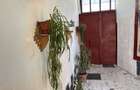 Casa central singur in curte - 150 mp util - 411 mp curte - 1