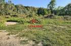Teren intravilan in Cornu (Ph)--1490 mp--29e - 6