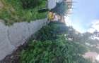Vanzare casa + teren + garaj + foisor - 8