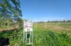 Teren intravilan, 2194 mp, 17 m deschidere, zona Mofleni - 4