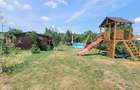 Teren 3100 mp cabana potential investitional Sura Mica Sibiu - 7