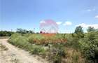 Teren Intravilan 1700 mp - Localitatea Amzacea - 1