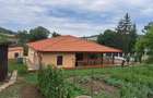 Vind casa Ceuasu de Cimpie 4 camera, living+bucatarie, bucataria mica,2 bai,2 garai,2 terasa 2 anexe - 9