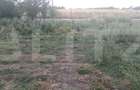 Teren intravilan, 500 mp, zona Doba