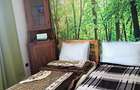 Vand casa in Tusin, jud. Mures , 40.000 Euro - 3