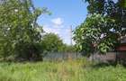Snagov-Ghermanesti-Teren 2000 mp la sosea - 55 euro/mp - 5