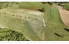 Teren 20.170mp | Livada | Suncuius, Bihor - 3