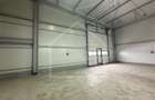 HALA  depozit/hala/spatiu industrial , CHITILA - TOP DEAL - 6