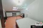 Apartament 2 camere de inchiriat zona NICOLINA-Prima Statie - 4