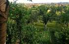 Proprietate panoramica exclusivista in Oradea livada matura cu utilita?i ?i vedere spectaculoasa - 10