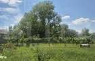 Proprietate de vanzare, teren 5488 mp, localitatea Ambud, comuna Paule - 8