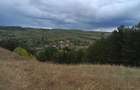 Casa la munte in Vizantea Manastireasca 2.000 mp teren, parau si padure - 3