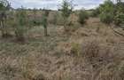 Teren Intravilan locuinte langa padure Pruni, Magurele, Ilfov,