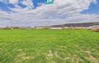 Teren extravilan, 1 ha, in ora?ul Sebi?, Arad - 4