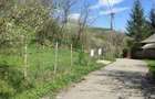 TEREN INTRAVILAN CU LIVADA | PRAHOVA| PROVITA DE SUS| BREAZA - 3