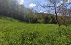 Teren Cabana Ocolis Alba langa rau de munte, 4000 mp, SUPER OFERTA - 4