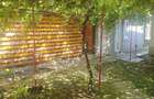 Casa de vanzare in Lupeni - 4