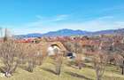 Comision 0%! Teren superb de 17000mp la 5 min de Castelul Bran, 13 eur - 2