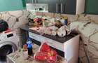 Casă cu 4 camere cu Teren 237 Mp în Drumul Taberei - 1