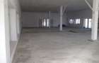 Vand urgent hala 500 mp in Brad jud. HD - 6